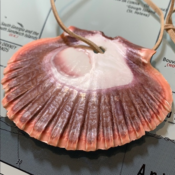 Lucky Sea Shell Necklace - Picture 2 of 3